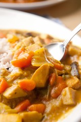     curried rice, curry and rice, curry with rice 