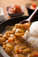     curried rice, curry and rice, curry with rice 