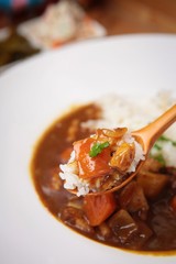     curried rice, curry and rice, curry with rice 