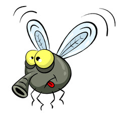 Cartoon Fly