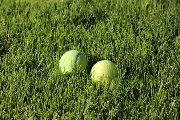 Two bright tennis balls in green grass