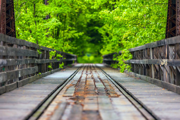 Railroad in the wood