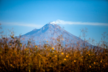 Fototapeta premium Mexican volcano landscape