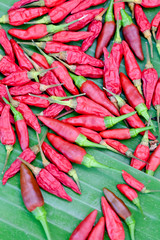 Red hot chili peppers