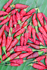 Red hot chili peppers