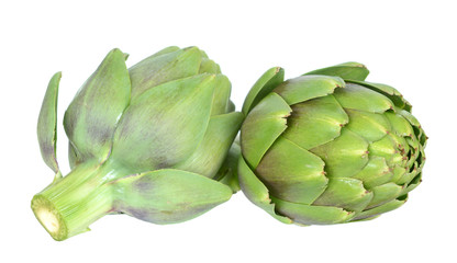 ripe artichoke