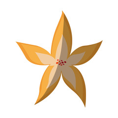 beautiful flower icon over white background. colorful design. vector illustration