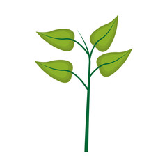 plant with green leaves over white background. colorful design. vector illustration