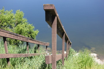 Overgrown stairway leaking down to a lake