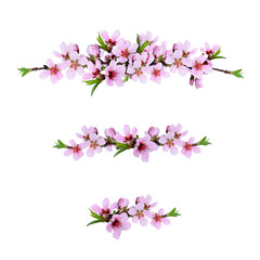 Set of pink peach twigs line arrangements