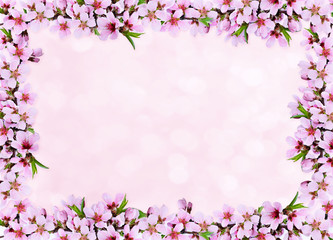 Obraz na płótnie Canvas Pink peach twigs frame