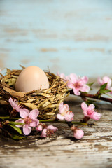 Easter background with easter egg in nest, blooming pink flowers on grunge old wood background. Shabby chic Easter wallpaper with copy space