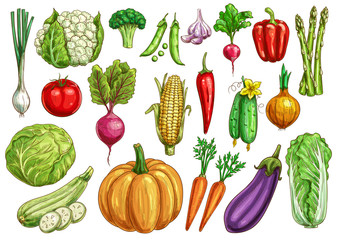 Vegetables isolated sketch set with fresh veggies