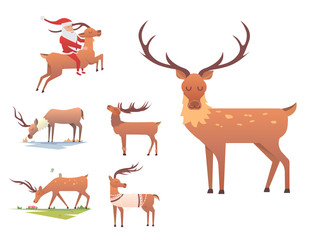 Christmas reindeer holiday mammal deer xmas celebration cute decoration winter art new year wildlife animal and santa man character vector illustration.