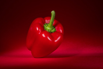 Paprika in spotlight