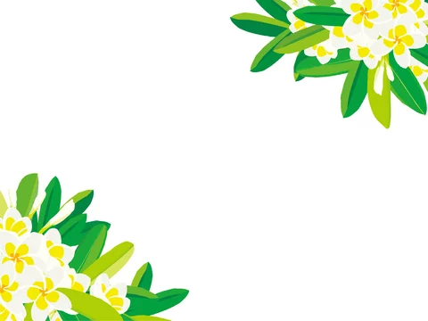 プルメリア イラスト Stock ベクター Adobe Stock プルメリア イラスト Stock ベクター Adobe Stock