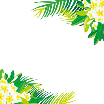 プルメリア Images Browse 4 5 Stock Photos Vectors And Video Adobe Stock