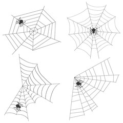 Spider web with a spider