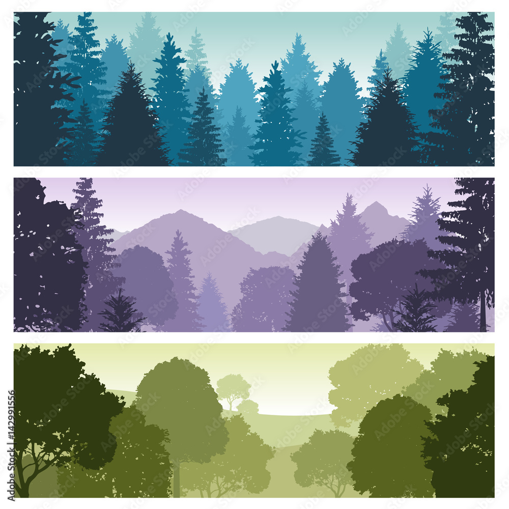 Wall mural silhouette forest panorama skyline with pine trees, vector nature wildlife landscape backgrounds