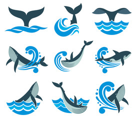 Wild whale in sea waves and water splashes vector icons
