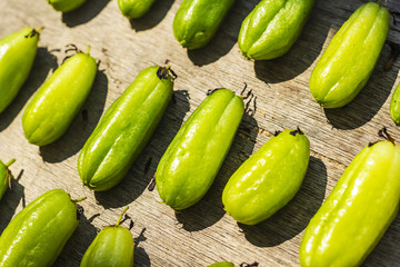 Bilimbi fruits on wooden background, Oxalidaceae.