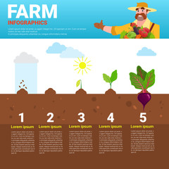 Farming Infographics Eco Friendly Organic Natural vegetable Growth Farm Production Banner With Copy Space Vector Illustration