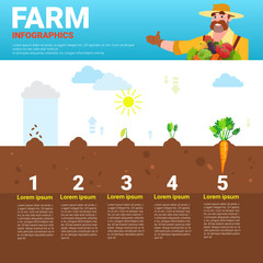 Farming Infographics Eco Friendly Organic Natural vegetable Growth Farm Production Banner With Copy Space Vector Illustration