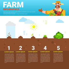 Farming Infographics Eco Friendly Organic Natural vegetable Growth Farm Production Banner With Copy Space Vector Illustration