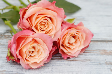 roses lying on wood