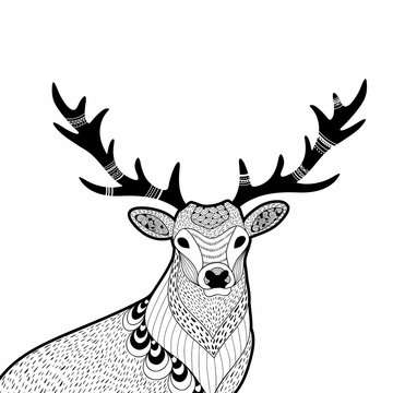 Creative doodle illustration of wild deer, hand drawn for the coloring book.