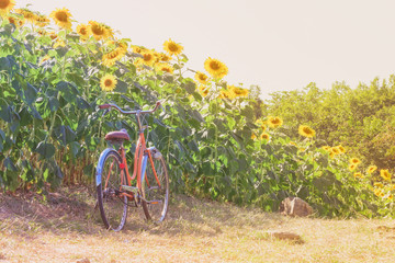 Fototapeta premium Bicycle in landscape
