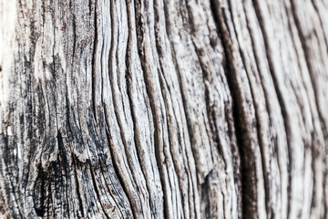 Beautiful abstract background, old rustic weathered wooden surface