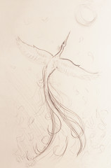 uprising phoenix bird flying up, drawing on white paper background.