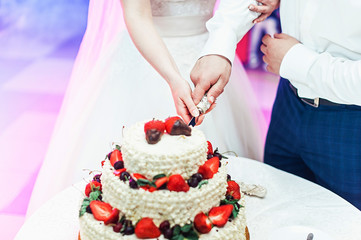 wedding ceremony. the bride and groom make their first case together, cut the wedding cake