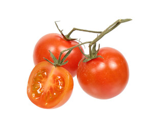Branch of cherry tomatoes