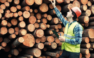 Worker in helmet counts wood lumber