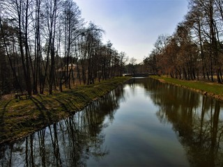 Rzeka w lesie