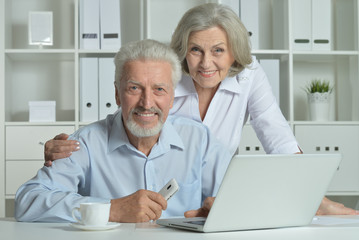 Elderly couple with a laptop