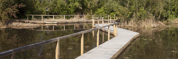 Obraz premium Holzsteg durch die Rieselfelder, Naturschutzgebiet, Münster, Münsterland, Nordrhein-Westfalen, Deutschland