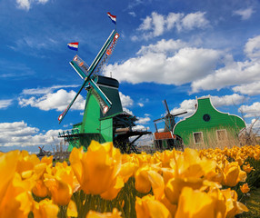 Fototapeta premium Traditional Dutch windmill with tulips in Zaanse Schans, Amsterdam area, Holland