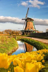 Deurstickers Amsterdam Traditionele Nederlandse windmolen met tulpen in de Zaanse Schans, Amsterdam gebied, Holland
