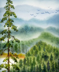 Fototapety  Akwarela krajobraz. Szare chmury nad lasem w dolinie