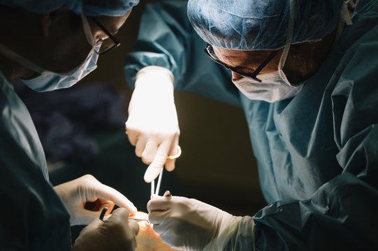 Team of surgeons performing operation in an operating room