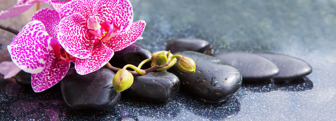 Spa concept with zen stones and orchid.