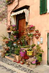 Fototapeta na wymiar blossoming entrance, Finalborgo, Italy