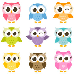 set of cute colorful owls isolated on white background
