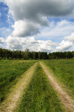 Dirt road in the meadow