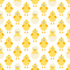 Fototapeta premium pattern with cute little chickens
