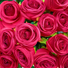 fake purple roses, floral background