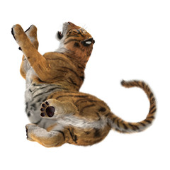 3D Rendering Big Cat Tiger on White
